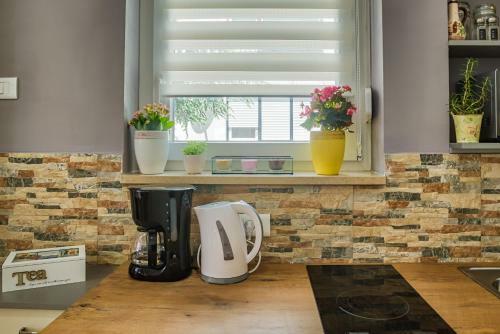 Colosseum Garden Studio Apartments