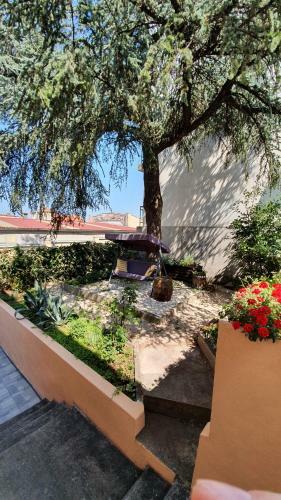 Colosseum Garden Studio Apartments