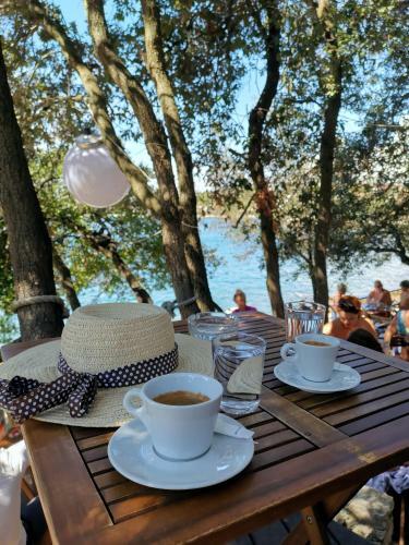 Apartmani Andrea