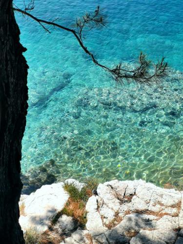 Apartmani Andrea