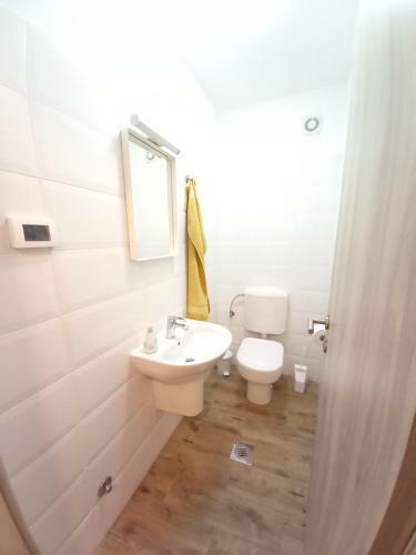 Apartments Dasara