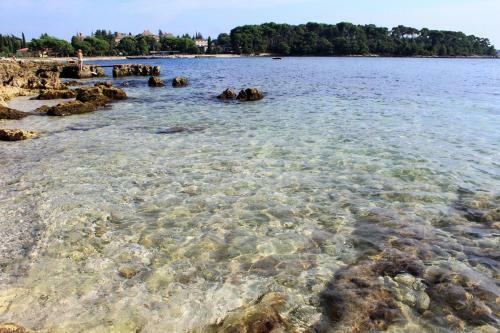 Hostal Rooms With A Parking Space Rovinj - 12456