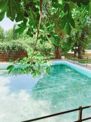 Agroturismo Cortijo Chac�n