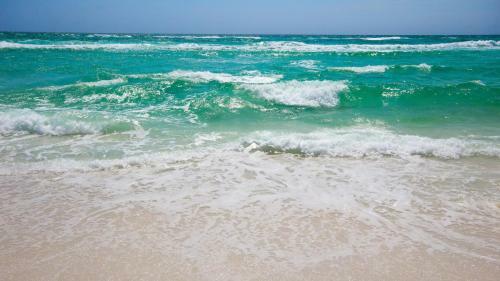 Ariel Dunes II 204 - Flr2- 2br 2ba (6)
