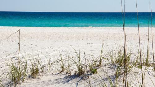 Ariel Dunes II 204 - Flr2- 2br 2ba (6)