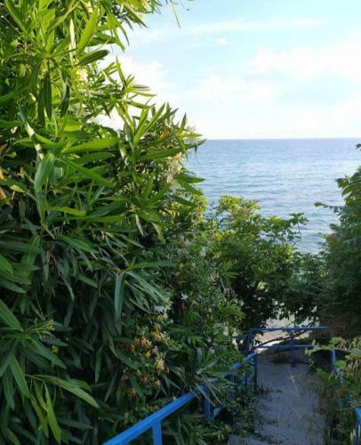 Popi' S Apartment 50 Metres From The Sea!