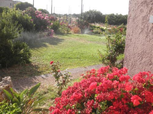 Aparthotel Anthemis