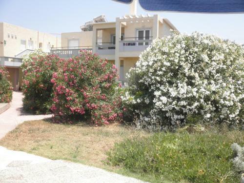 Aparthotel Anthemis