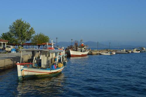 Agroturismo Socrates Organic Village