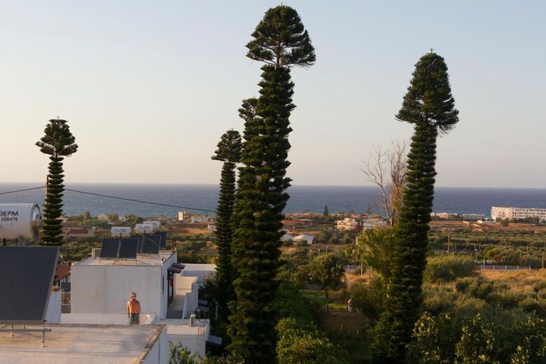 Marina Apartments