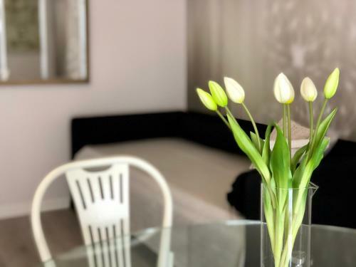 Luxory Beach Apartments Bellaria