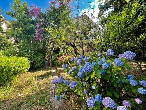 Apartamento Family Vacation Home Gospostina
