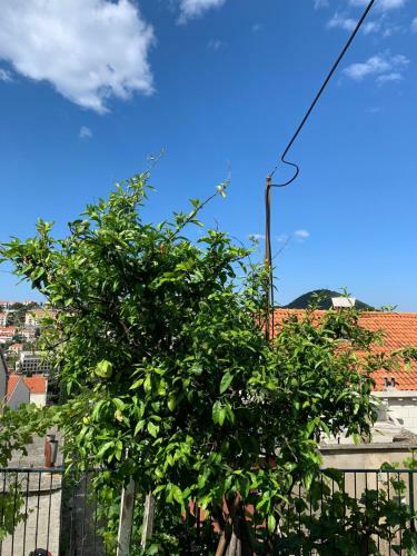 Hostal Dubrovnik Rooms