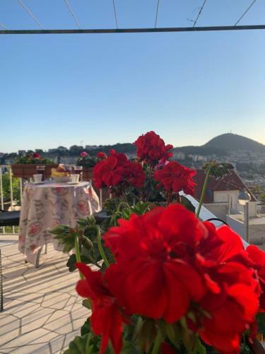 Hostal Dubrovnik Rooms