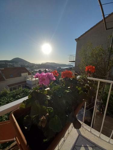 Hostal Dubrovnik Rooms