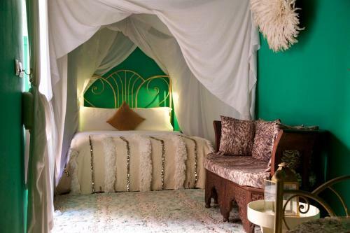 Bed & Breakfast The Bohemian Jungle