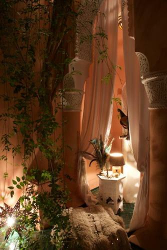 Bed & Breakfast The Bohemian Jungle