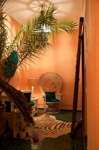 Bed & Breakfast The Bohemian Jungle