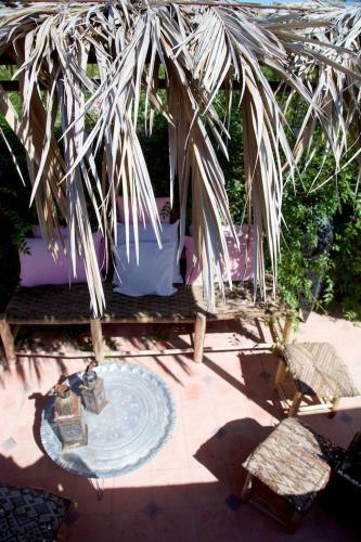 Bed & Breakfast The Bohemian Jungle
