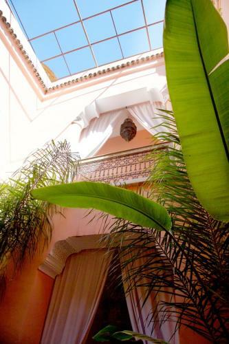 Bed & Breakfast The Bohemian Jungle