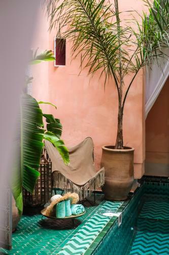 Bed & Breakfast The Bohemian Jungle
