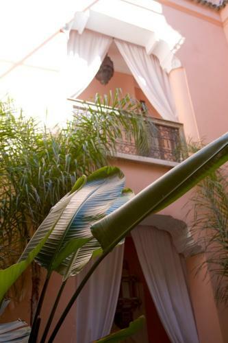 Bed & Breakfast The Bohemian Jungle