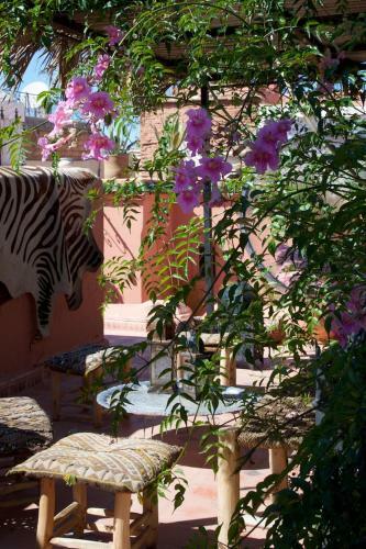 Bed & Breakfast The Bohemian Jungle