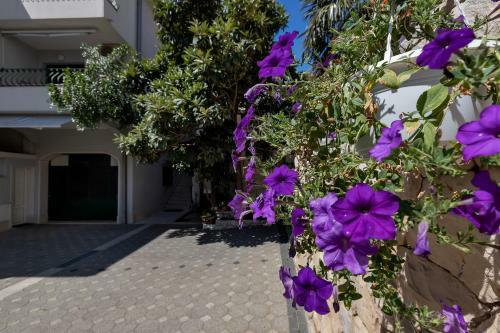 Apartments Carmen