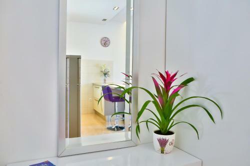 Summer Lounge Apartments