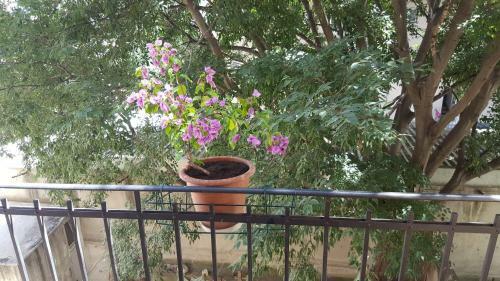 Apartment Lelli