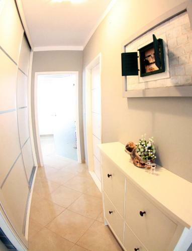 Apartment Nikola