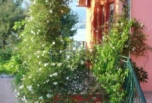 Apartmani Ante