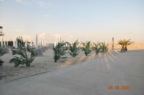 Antonia Apartment Marina Surf Residence