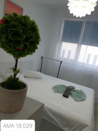 Apartament Ama 18 Mamaia Nord