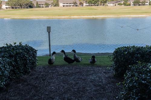 Lakefront By Seascape Resort