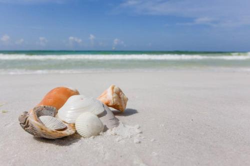 Apartamento Miramar Beach Retreat - Steps From The Beach