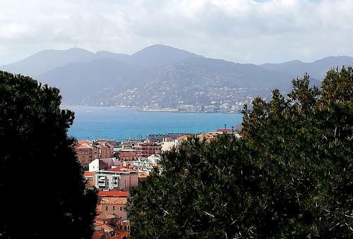 Apartamento La Villa Carat Cannes