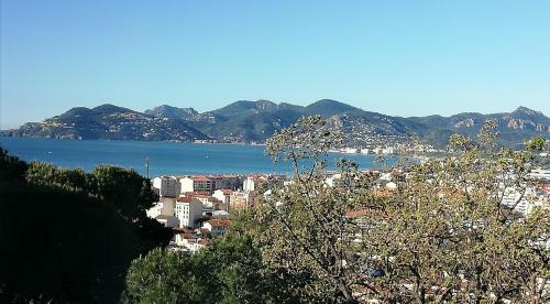 Apartamento La Villa Carat Cannes
