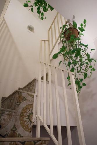 Vecchia Napoli - Quartieri Spagnoli