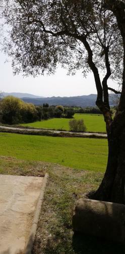 Casa Rural El Pajar De Tejedor