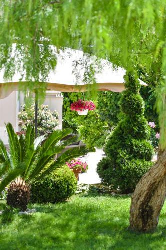 Calypso Royal Apartment