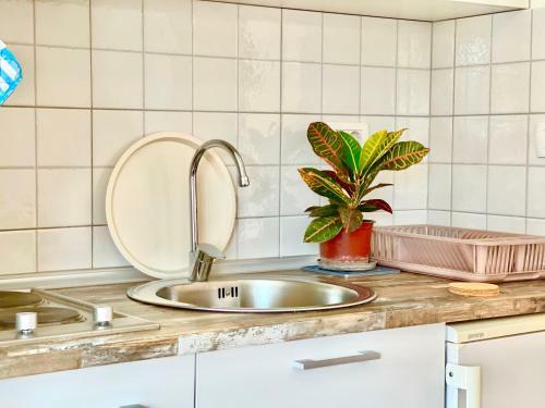 Apartamento Garden House Budva