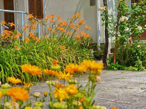 Apartamento Garden House Budva