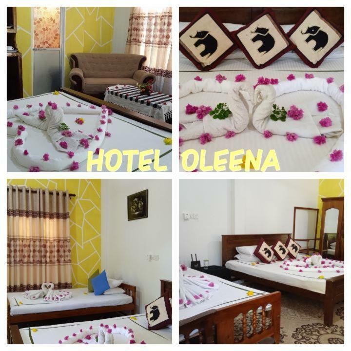 Hotel Oleena