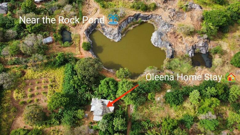 Hotel Oleena
