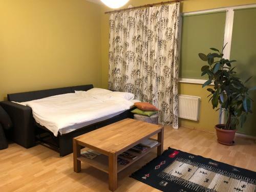Apartment Near Centre