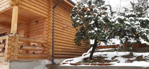 Villa Cottage House Niniela