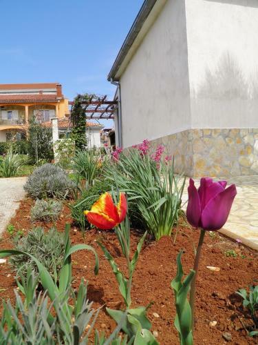 Holiday Home Cohar 80