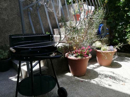 Apartman Marin 2