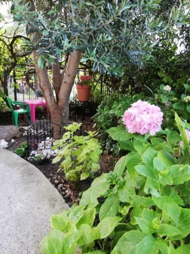 Apartman Marin 2